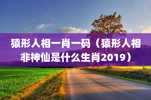 猿形人相一肖一码（猿形人相非神仙是什么生肖2019）