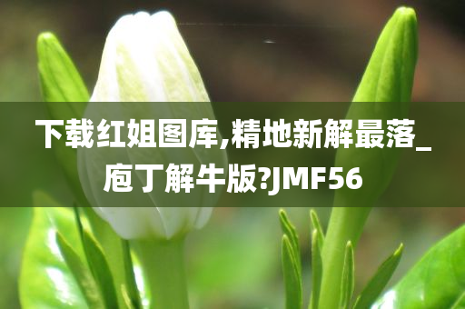 下载红姐图库,精地新解最落_庖丁解牛版?JMF56