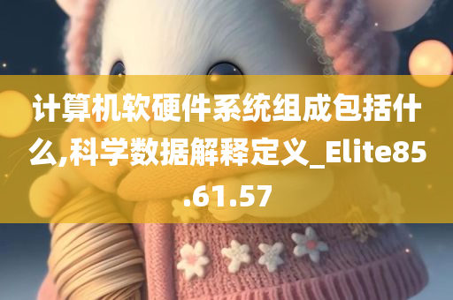 计算机软硬件系统组成包括什么,科学数据解释定义_Elite85.61.57