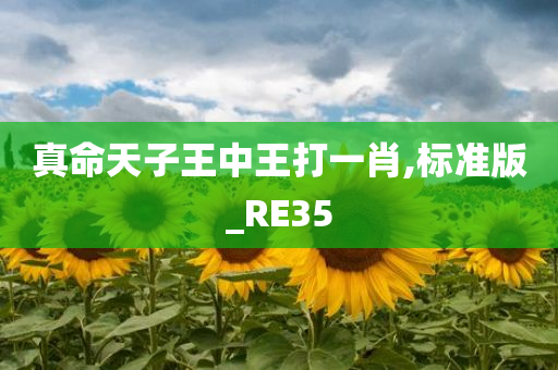 真命天子王中王打一肖,标准版_RE35