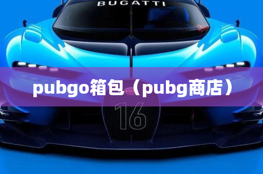 pubgo箱包（pubg商店）