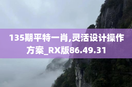 135期平特一肖,灵活设计操作方案_RX版86.49.31