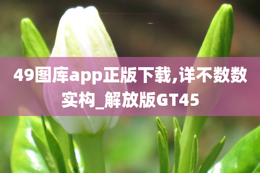 49图库app正版下载,详不数数实构_解放版GT45