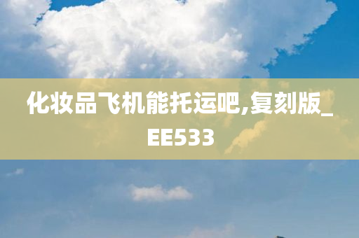 化妆品飞机能托运吧,复刻版_EE533