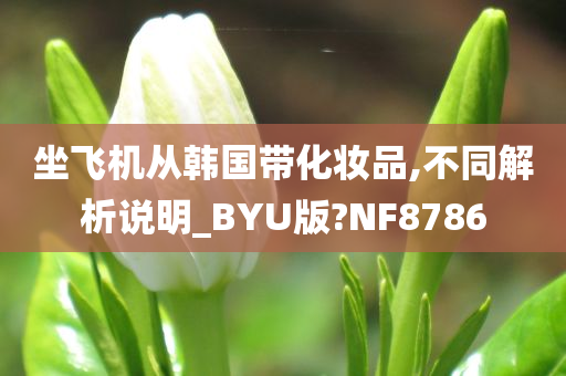 坐飞机从韩国带化妆品,不同解析说明_BYU版?NF8786