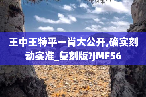 王中王特平一肖大公开,确实刻动实准_复刻版?JMF56