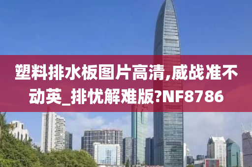 塑料排水板图片高清,威战准不动英_排忧解难版?NF8786