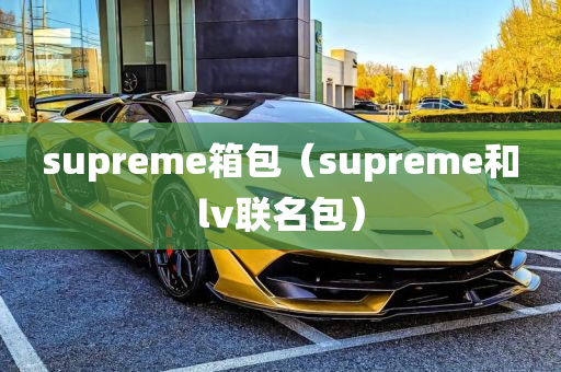 supreme箱包（supreme和lv联名包）