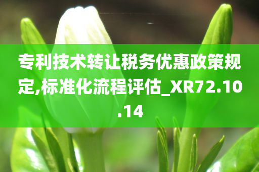 专利技术转让税务优惠政策规定,标准化流程评估_XR72.10.14