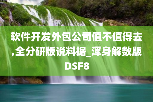 软件开发外包公司值不值得去,全分研版说料据_浑身解数版DSF8