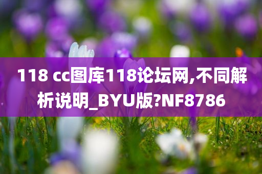 118 cc图库118论坛网,不同解析说明_BYU版?NF8786