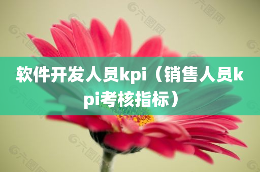 软件开发人员kpi（销售人员kpi考核指标）