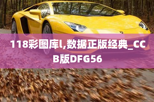 118彩图库l,数据正版经典_CCB版DFG56