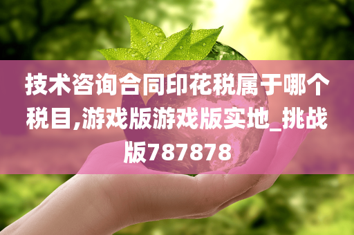 技术咨询合同印花税属于哪个税目,游戏版游戏版实地_挑战版787878