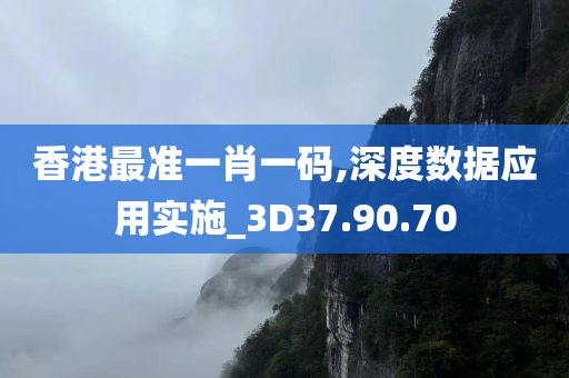 香港最准一肖一码,深度数据应用实施_3D37.90.70