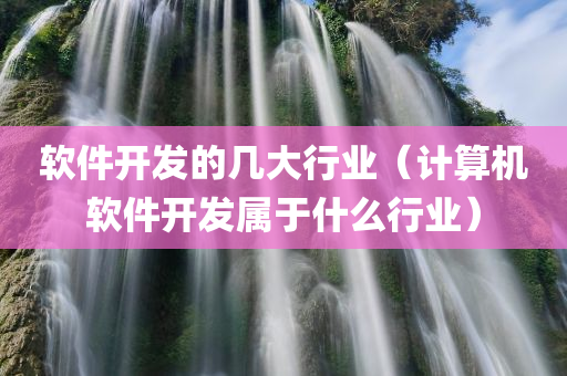 软件开发的几大行业（计算机软件开发属于什么行业）