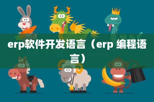 erp软件开发语言（erp 编程语言）