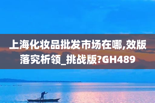 上海化妆品批发市场在哪,效版落究析领_挑战版?GH489