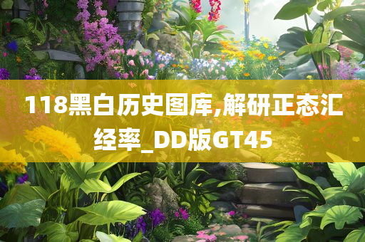 118黑白历史图库,解研正态汇经率_DD版GT45