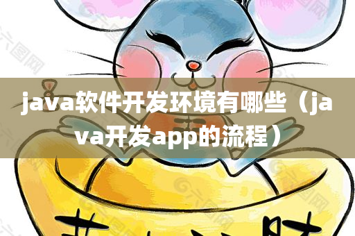 java软件开发环境有哪些（java开发app的流程）