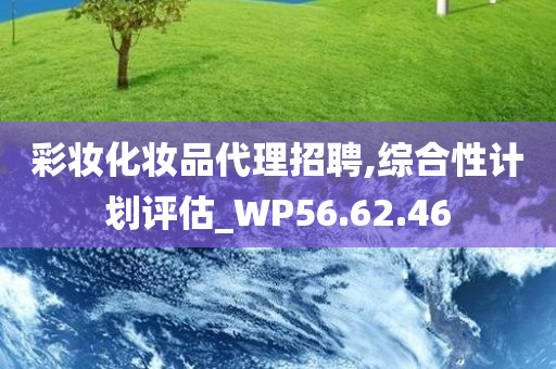 彩妆化妆品代理招聘,综合性计划评估_WP56.62.46