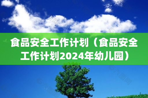 食品安全工作计划（食品安全工作计划2024年幼儿园）