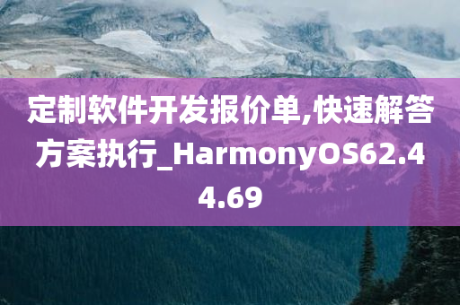 定制软件开发报价单,快速解答方案执行_HarmonyOS62.44.69