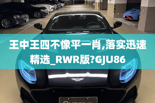 王中王四不像平一肖,落实迅速精选_RWR版?GJU86