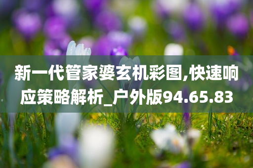 新一代管家婆玄机彩图,快速响应策略解析_户外版94.65.83