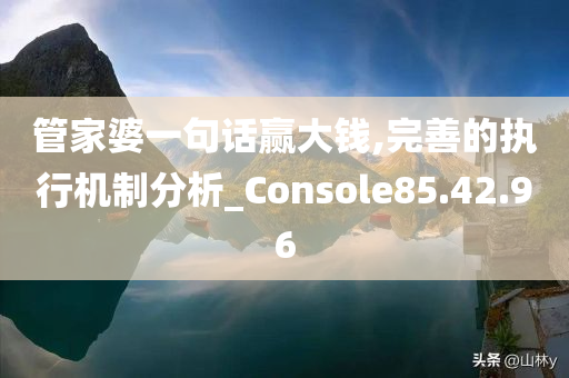 管家婆一句话赢大钱,完善的执行机制分析_Console85.42.96