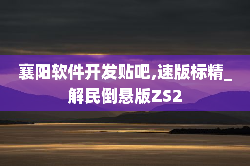 襄阳软件开发贴吧,速版标精_解民倒悬版ZS2