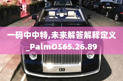 一码中中特,未来解答解释定义_PalmOS65.26.89