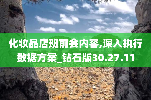 化妆品店班前会内容,深入执行数据方案_钻石版30.27.11