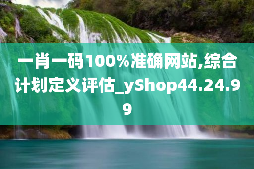 一肖一码100%准确网站,综合计划定义评估_yShop44.24.99