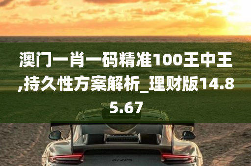 澳门一肖一码精准100王中王,持久性方案解析_理财版14.85.67