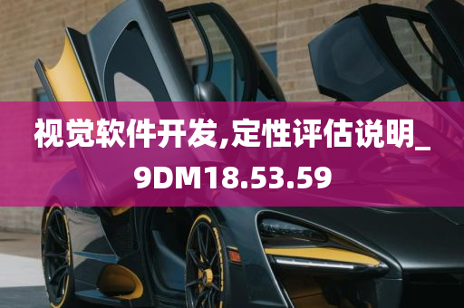 视觉软件开发,定性评估说明_9DM18.53.59