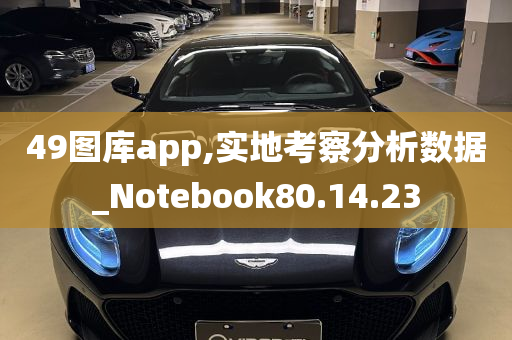 49图库app,实地考察分析数据_Notebook80.14.23