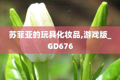 苏菲亚的玩具化妆品,游戏版_GD676