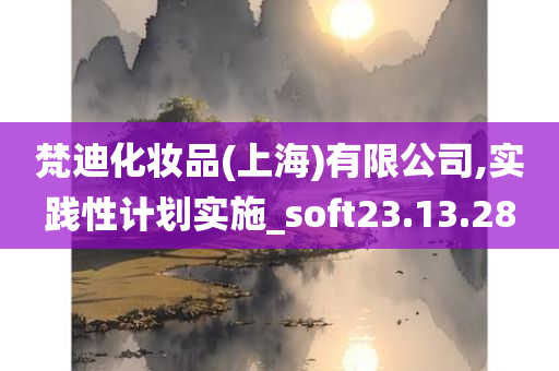 梵迪化妆品(上海)有限公司,实践性计划实施_soft23.13.28