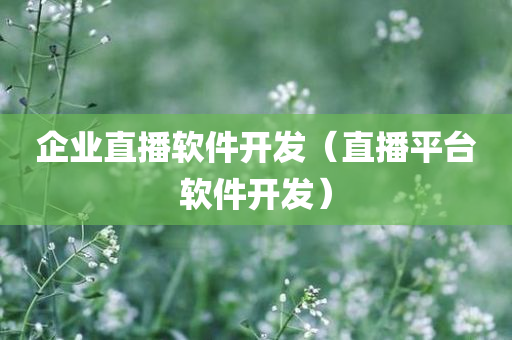 企业直播软件开发（直播平台软件开发）