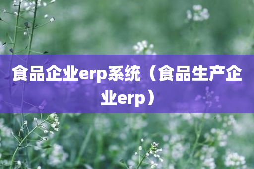 食品企业erp系统（食品生产企业erp）