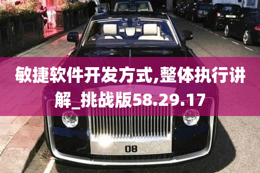 敏捷软件开发方式,整体执行讲解_挑战版58.29.17