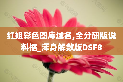 红姐彩色图库域名,全分研版说料据_浑身解数版DSF8