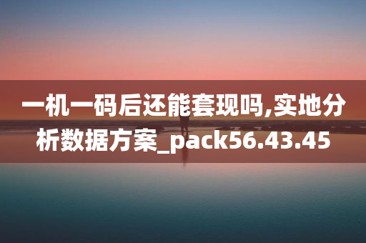 一机一码后还能套现吗,实地分析数据方案_pack56.43.45