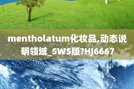 mentholatum化妆品,动态说明领域_SWS版?HJ6667