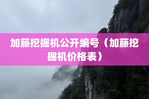 加藤挖掘机公开编号（加藤挖掘机价格表）