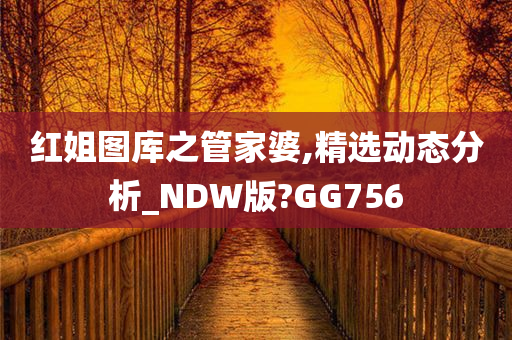 红姐图库之管家婆,精选动态分析_NDW版?GG756