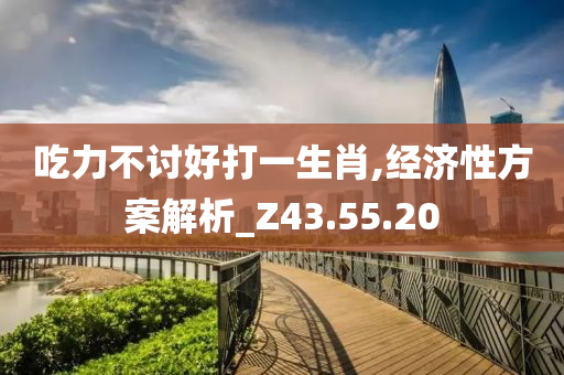 吃力不讨好打一生肖,经济性方案解析_Z43.55.20