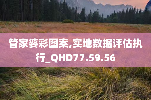 管家婆彩图案,实地数据评估执行_QHD77.59.56