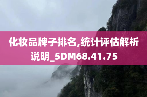 化妆品牌子排名,统计评估解析说明_5DM68.41.75